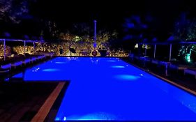 Pine Trees Art Hotel